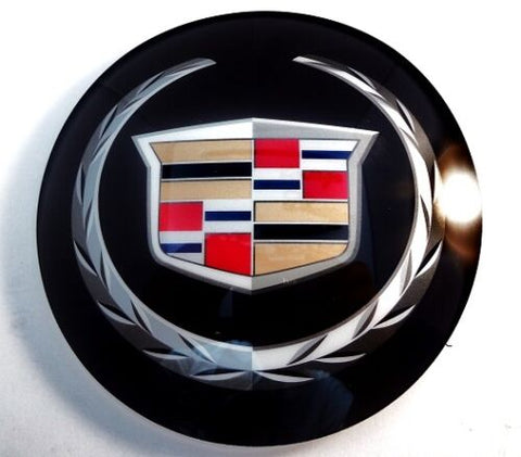 DTS Adaptive Cruise Control Grille Emblem